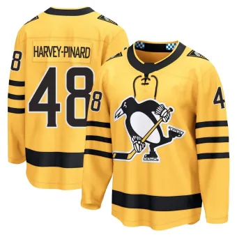 Youth Rafael Harvey-Pinard Pittsburgh Penguins Alternate 2025 Jersey - Gold Breakaway